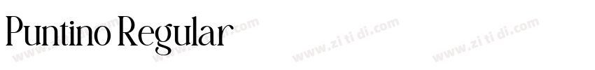 Puntino Regular字体转换 Puntino Regular字体转换